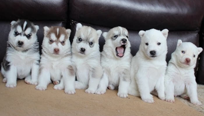 혈압주의)'근첩들의 실체'라고 불리는 짤의 진실 jpg._4.jpg