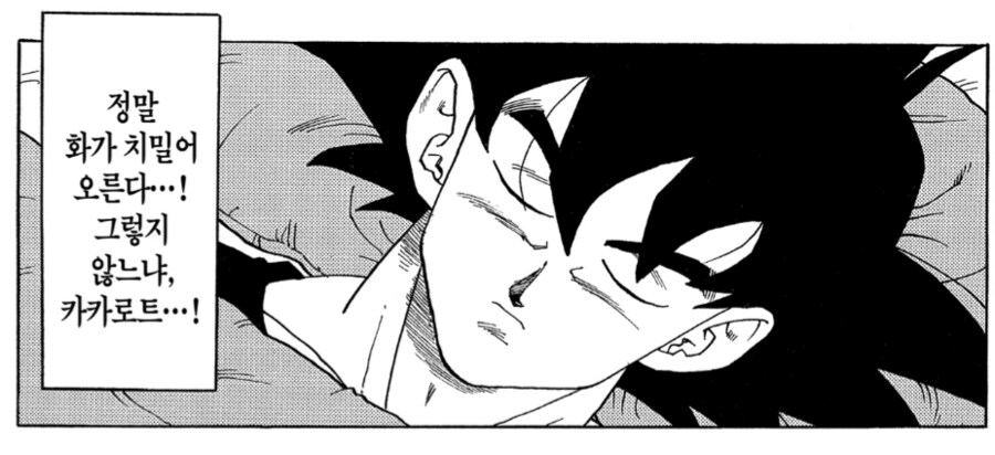 드래곤볼) 베지터입장에서 진짜 이상한 놈_10.png