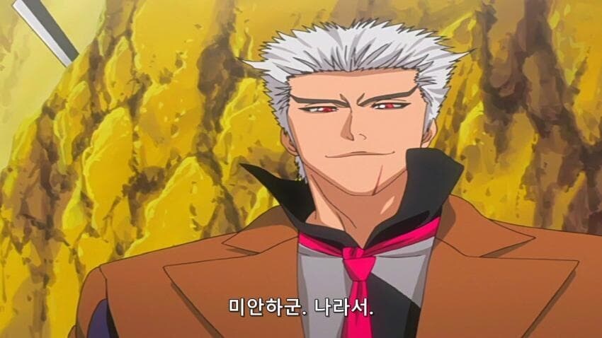 드래곤볼과 같은 딜레마가 있었던 블리치 애니_1.png