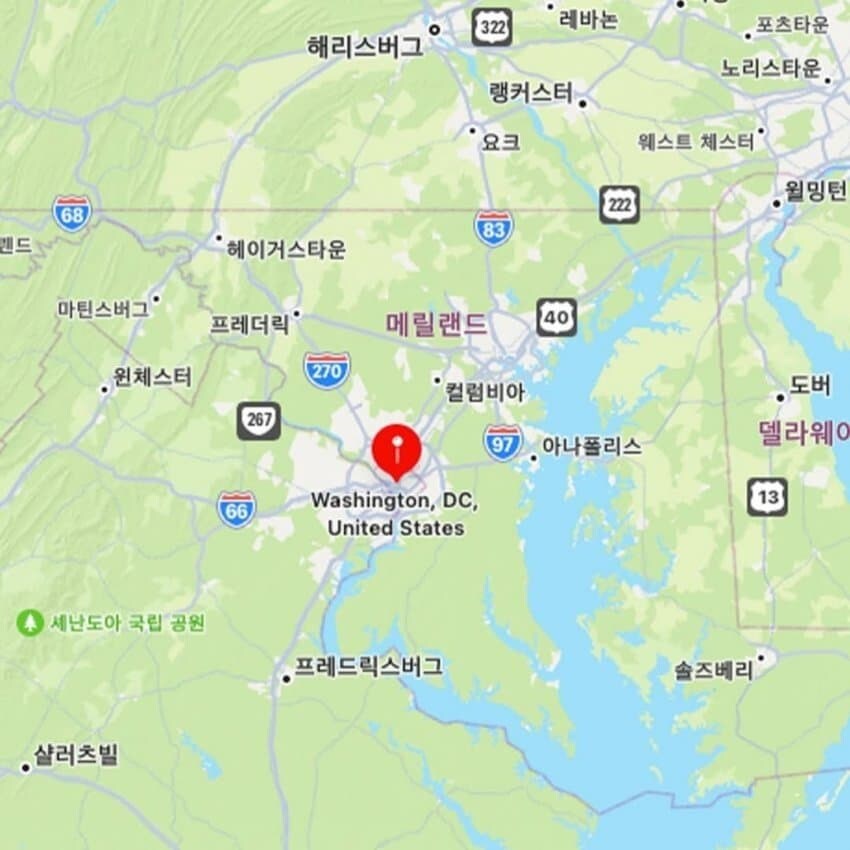 헌터x헌터 근황_3.jpg