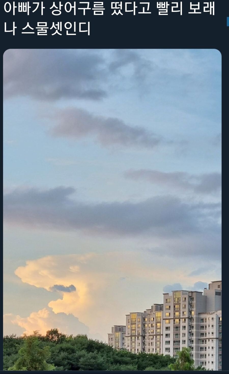 아빠가 상어구름 떴다고 빨리 보래 | 인스티즈