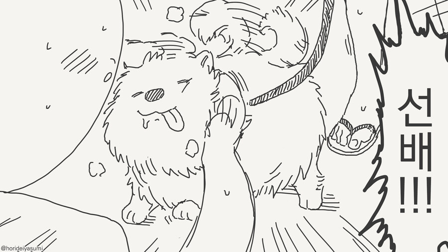 여자는 누가보면 바로 알수 있는 manhwa_4.jpg