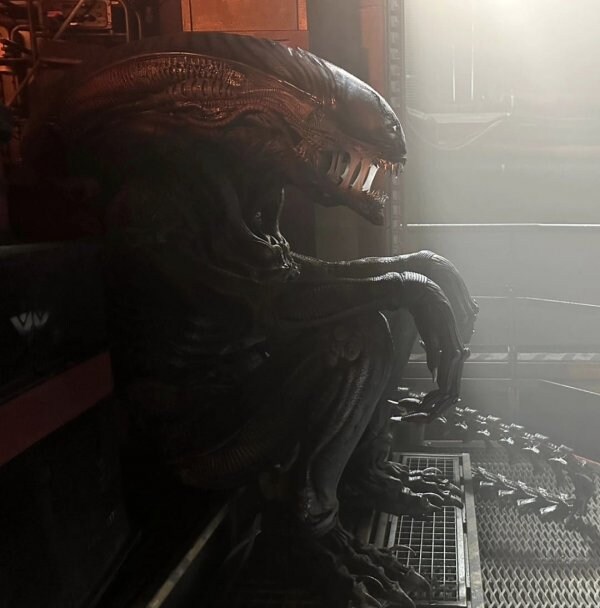 영화 촬영중 쉬는 시간에 너무 힘들어서 현타옴.gif_3.jpg