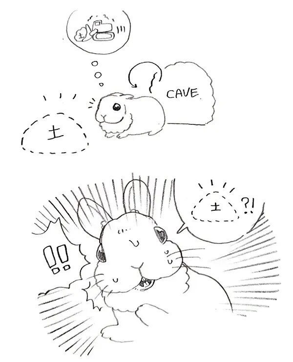 굴 파던 토끼가 당황한 이유.mp4_2.jpg