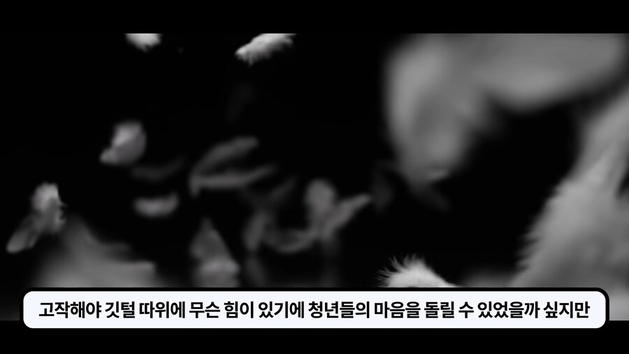 1차대전 퇴역군인조차 조롱하던 흰깃털단._16.png