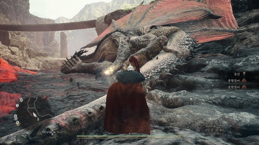 용혈정 파밍 및 대형몬스터 소재 파밍용 리젠 장소_10.jpg