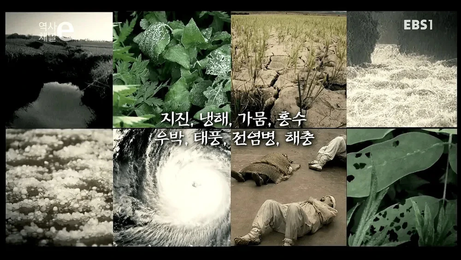 "조선은 왜 500년밖에 못감?"&nbsp;_13.webp