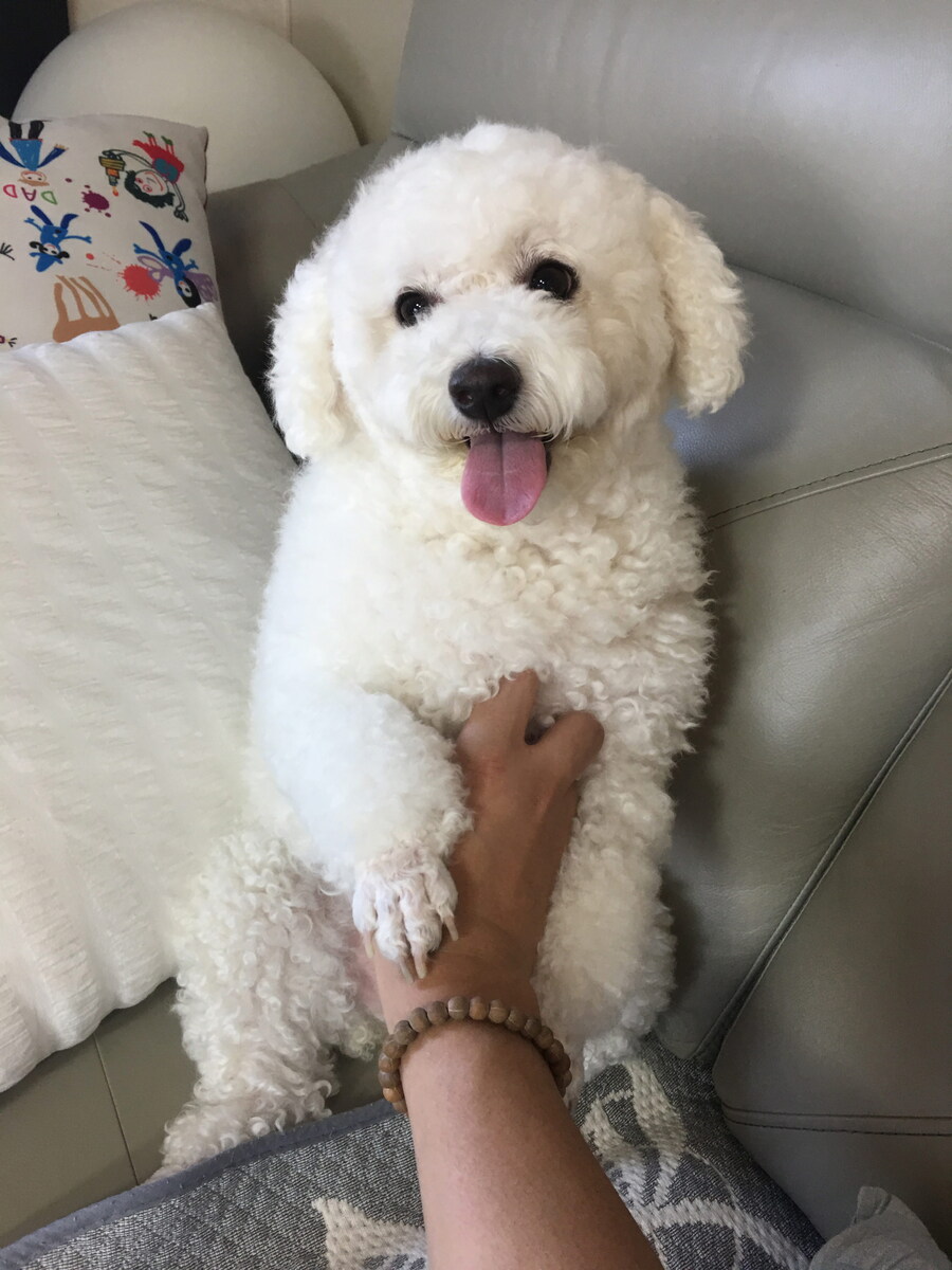 바나가 강아지별로 떠났습니다. (※스압 데이터 주의)_65.jpg