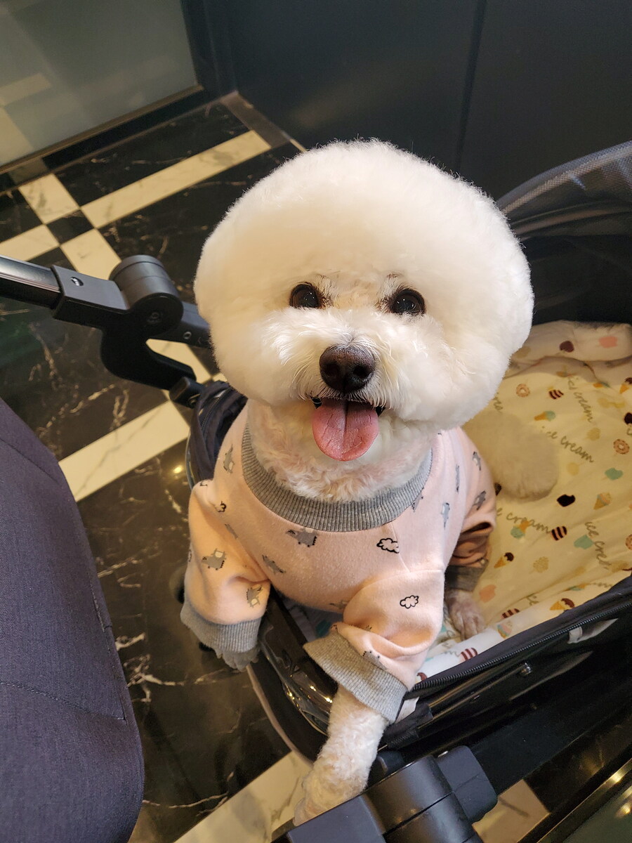 바나가 강아지별로 떠났습니다. (※스압 데이터 주의)_150.jpg