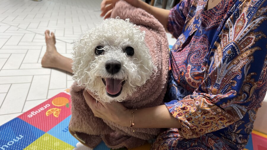 바나가 강아지별로 떠났습니다. (※스압 데이터 주의)_184.jpg