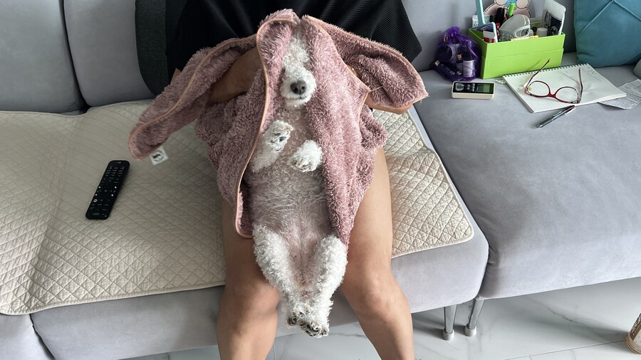 바나가 강아지별로 떠났습니다. (※스압 데이터 주의)_197.jpg