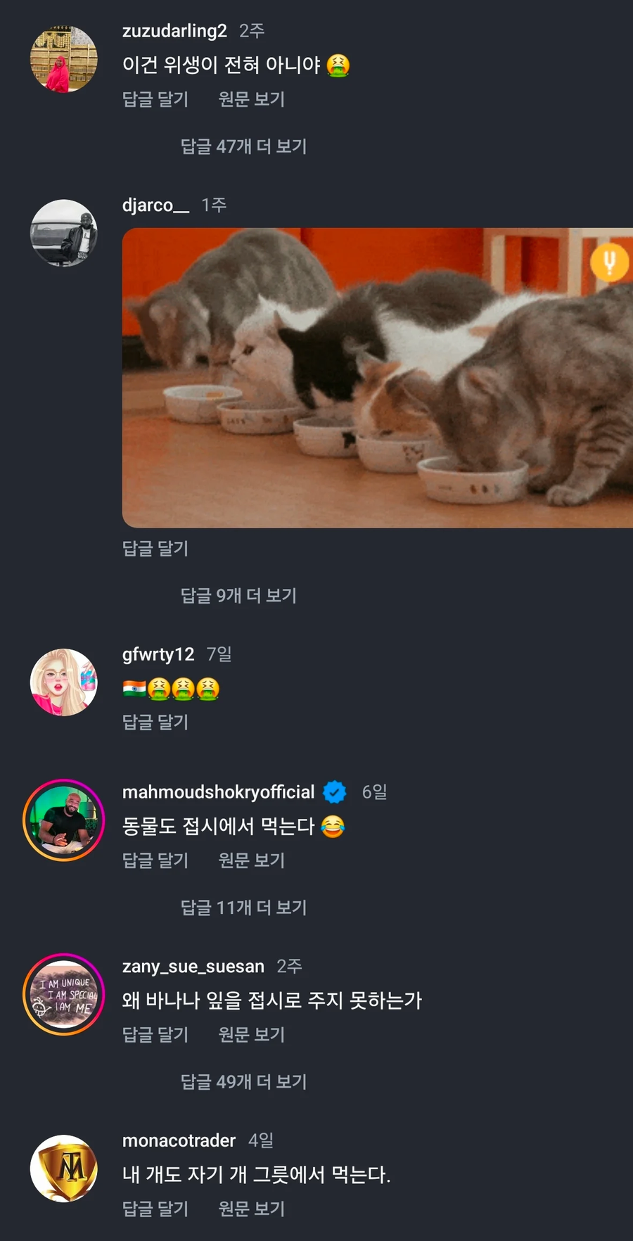 인도에서 바닥밥 먹어도 놀라지 않는 이유.jpg_2.webp