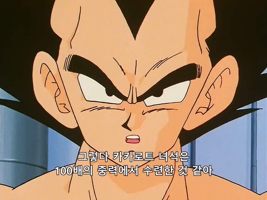 드래곤볼미래의 장인 어른 달달 볶는 베지터