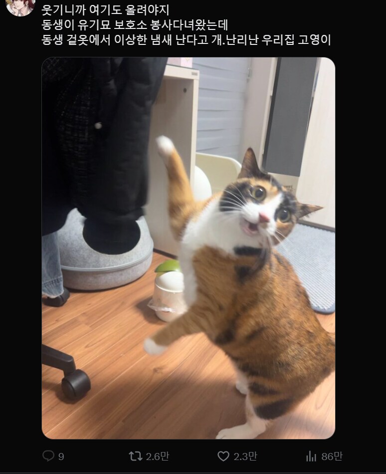 밖에서 바람피고 다녔다고 난리난 집안 ㄷㄷㄷ_1.png