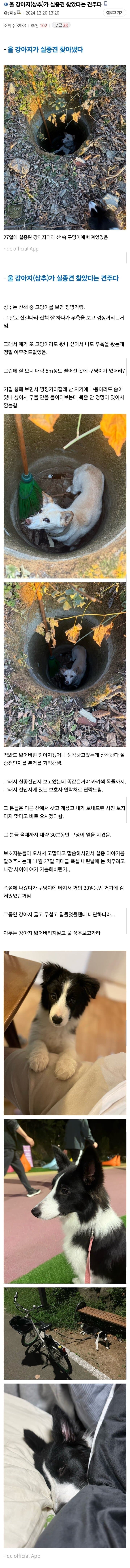 어쩌다가 실종견 발견함_1.jpg