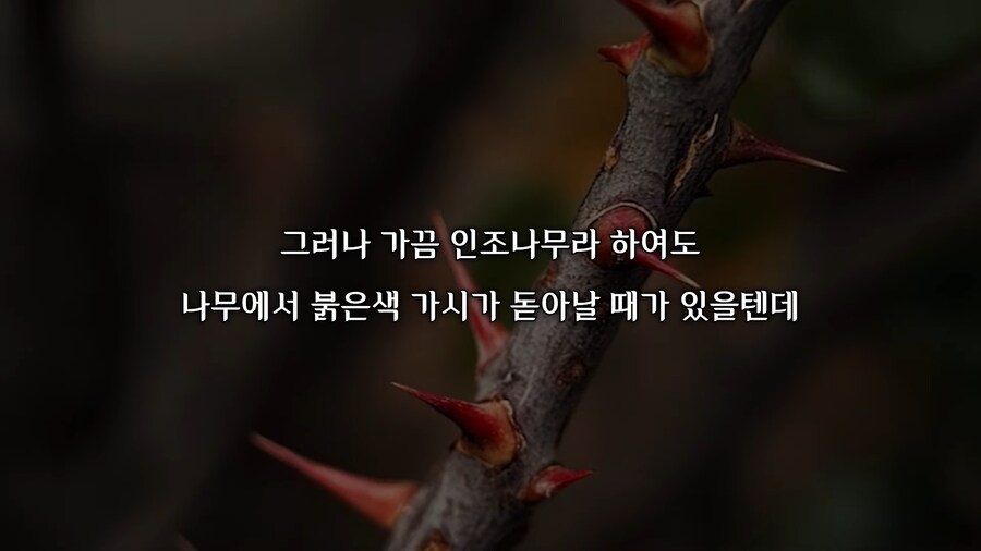 괴담) 크리스마스 기념 나폴리탄 괴담 보고 가라_2.png