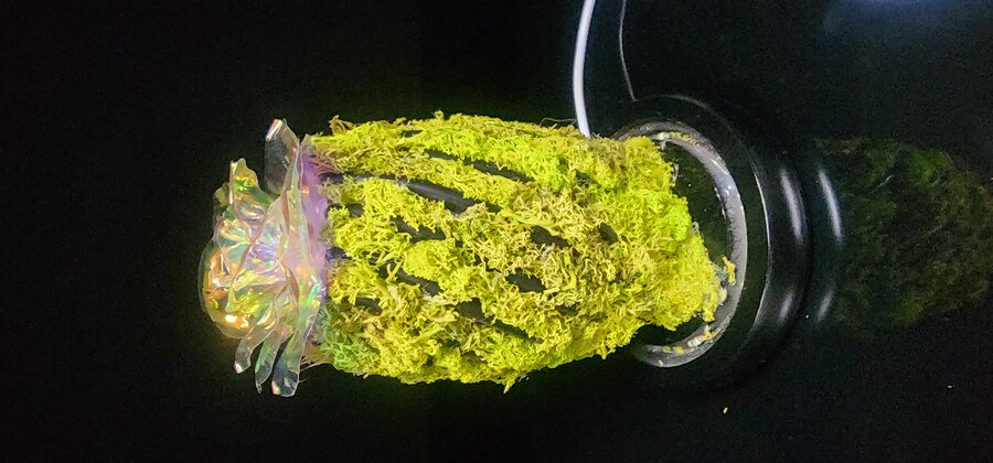 인테리어무드등(자작(feat. 금시난쥬,금마징가)_16.jpg