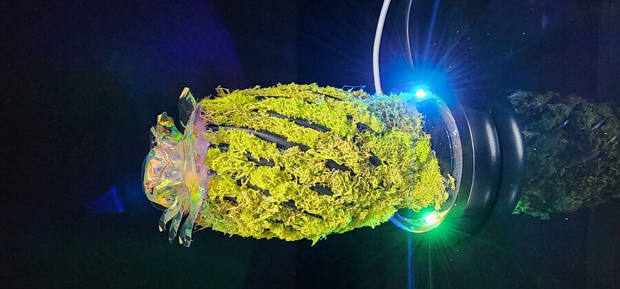 인테리어무드등(자작(feat. 금시난쥬,금마징가)_17.jpg