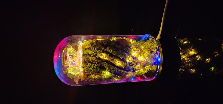 인테리어무드등(자작(feat. 금시난쥬,금마징가)_25.jpg