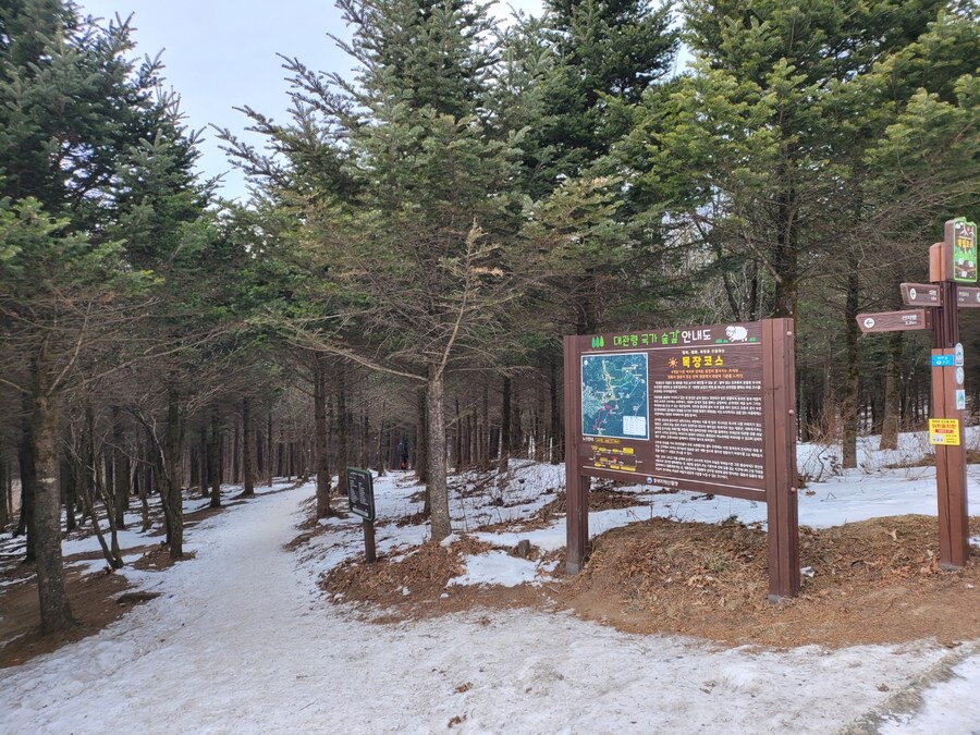 #선자령 순환길_4.jpg