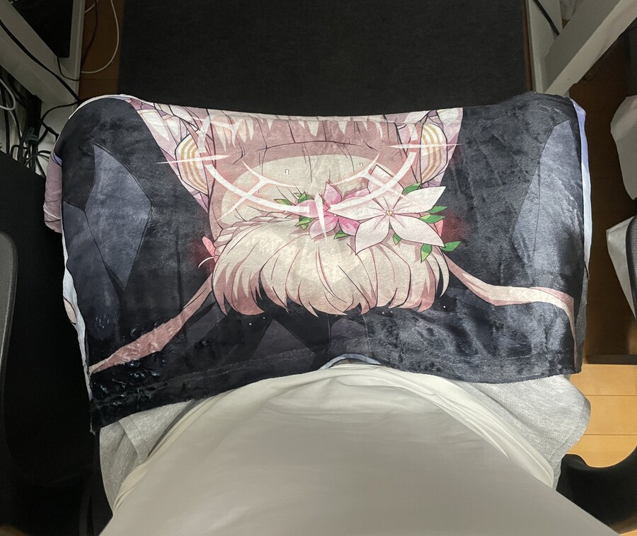 무릎담요 개변태같다_1.jpg