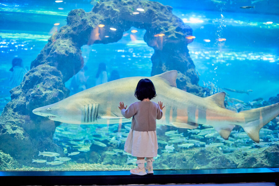 사진으로 몰아보는 우리가족 2024년_69.jpg