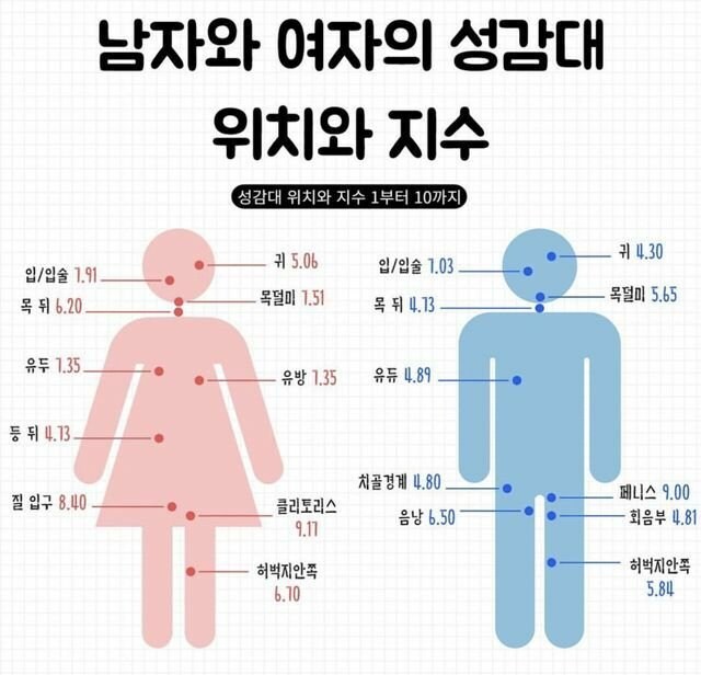 남자와 여자의 성감대 위치와 지수.jpg_1.jpg
