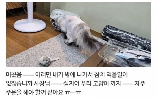 리뷰 개판난 횟집.jpg_3.png