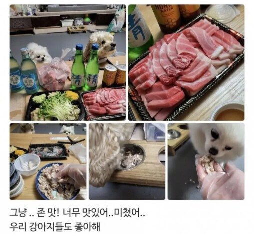 리뷰 개판난 횟집.jpg_4.png