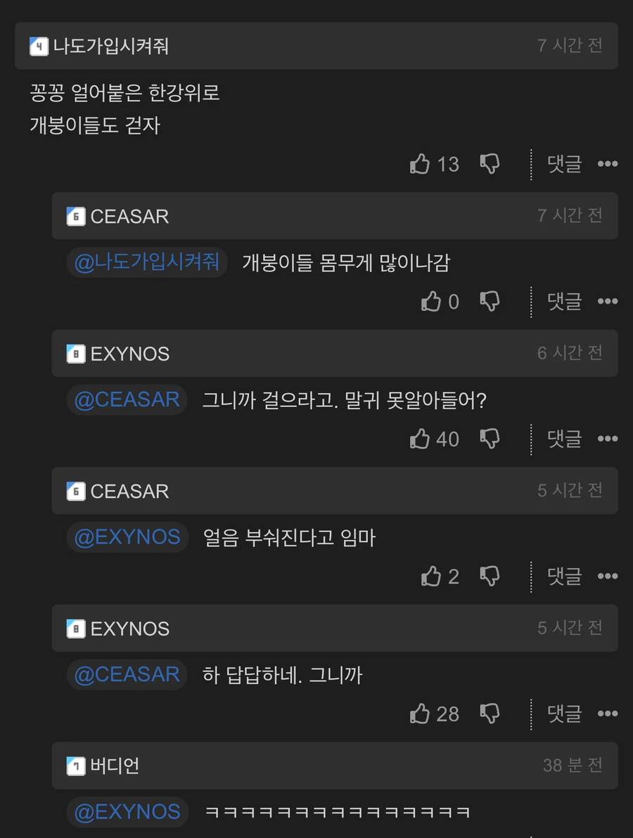 꽁꽁 얼어 붙은 한강 위로.jpg_1.webp