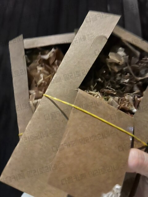 타코야키 집 사장님이 트럭 개큰걸로 바꾸셨어.jpg_31.png