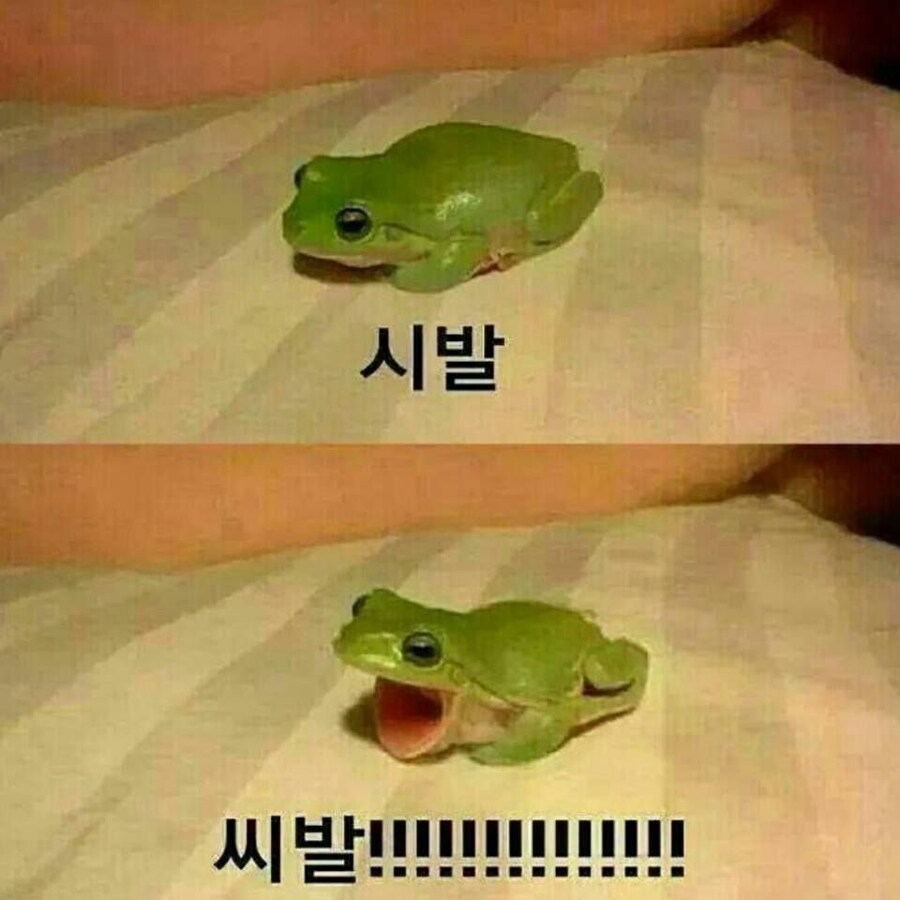 내가 몰 잘못했다고 이러는 거죠??_2.jpg