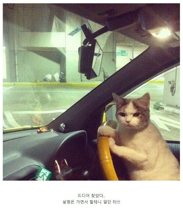 성인 남성을 납치 하는 방법_2.jpg