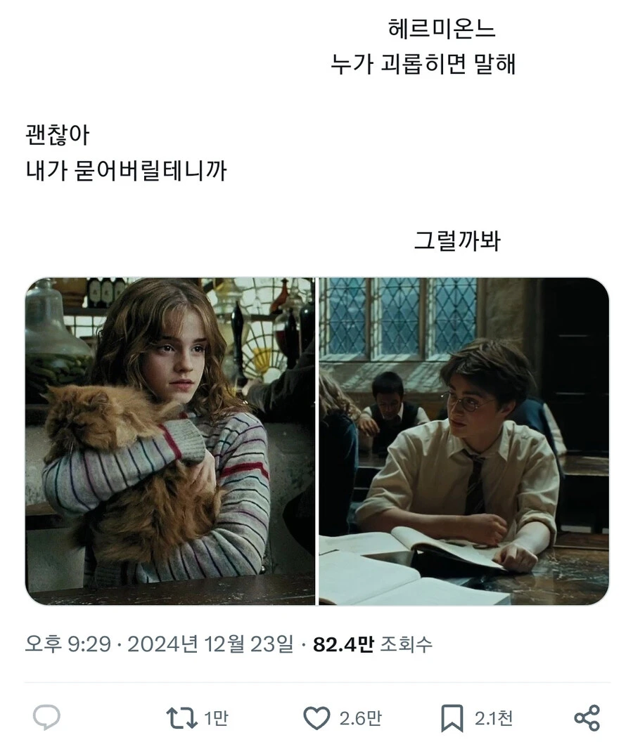 헤르미온느 누가 괴롭히면 말해_1.webp