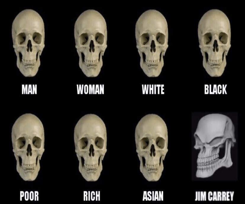 인류의 두개골 모양_1.jpg