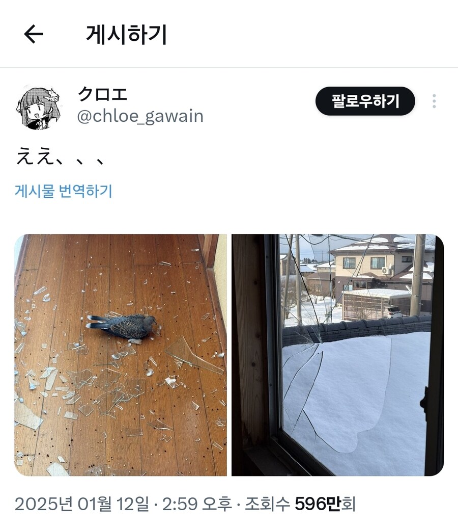 창문에 자폭드론이 꼴박한걸줄 알았다는 일본인.jpg_1.jpg