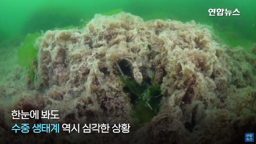 진짜 살이 쭉쭉 빠지고 있다는 신호_3.jpg