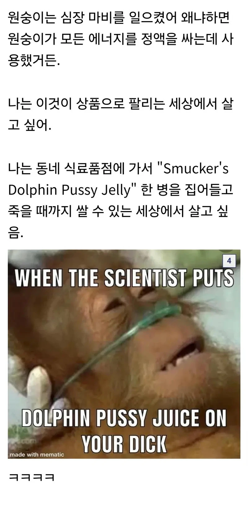돌고래 뷰지 젤리_3.webp