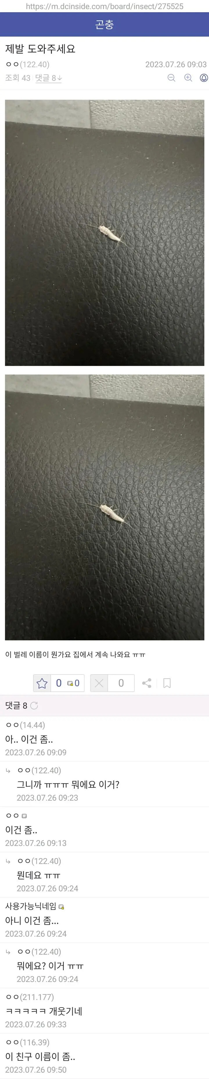 이 벌레 이름이 뭔가요?_1.jpg