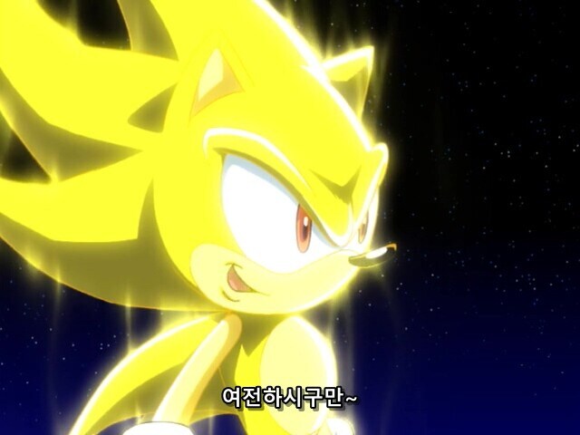 소닉) 의외로 제일 소닉 빠돌이 캐릭터_3.jpg