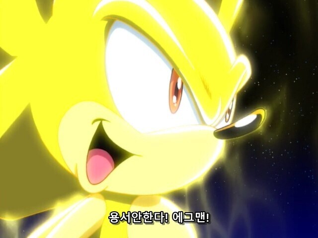 소닉) 의외로 제일 소닉 빠돌이 캐릭터_7.jpg