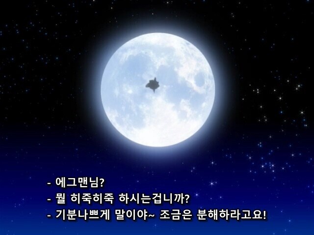 소닉) 의외로 제일 소닉 빠돌이 캐릭터_15.jpg