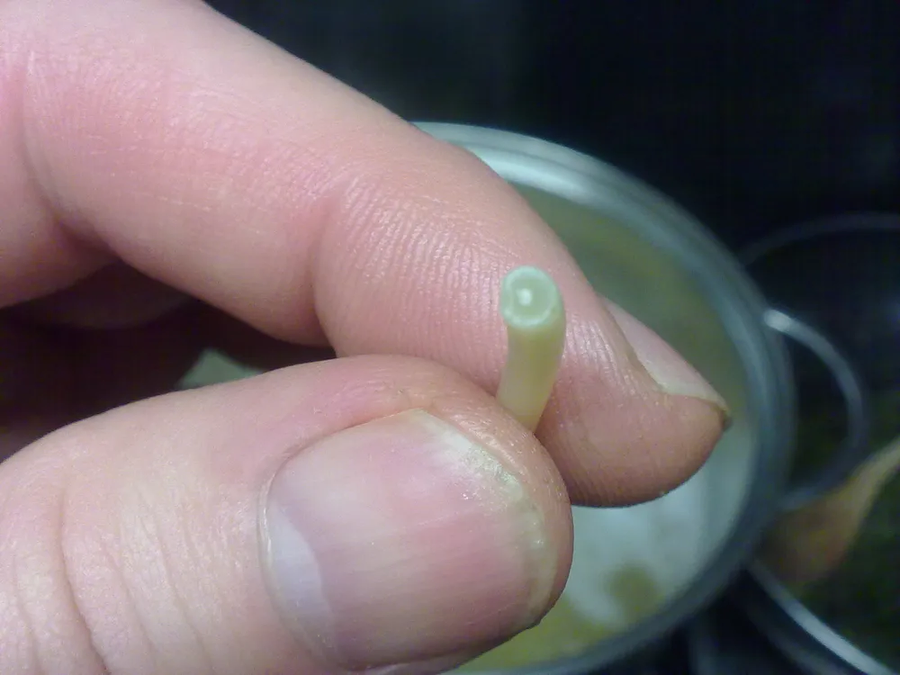 아시아인들에겐 호불호가 갈릴 수 밖에 없는 것류 甲_1.webp