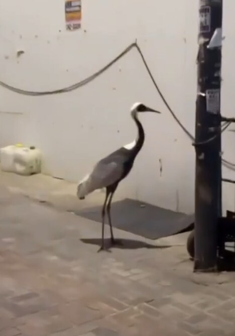 부산에서 학폭하면 안돼_1.png