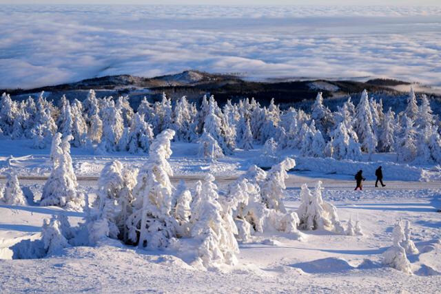 사람이 눈과 얼음을 조각해서 만든거 아님_1.jpg