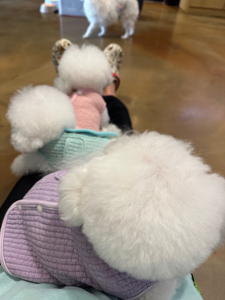 귀여운 동물들_7.jpg