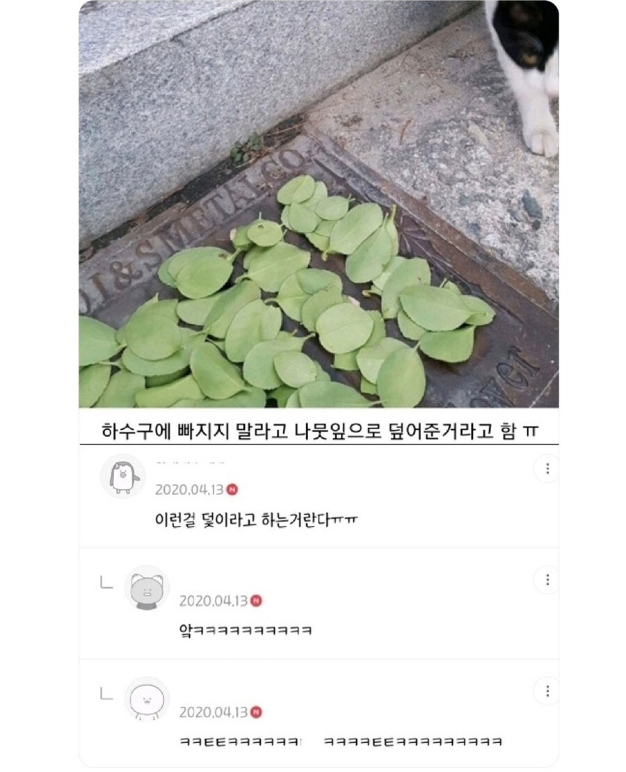 고양이를 위한 잼민이들의 배려_1.jpg