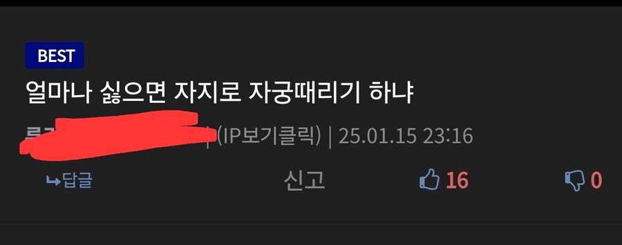 이젠 이정도로는 어지럽지 않은 댓글_1.jpg