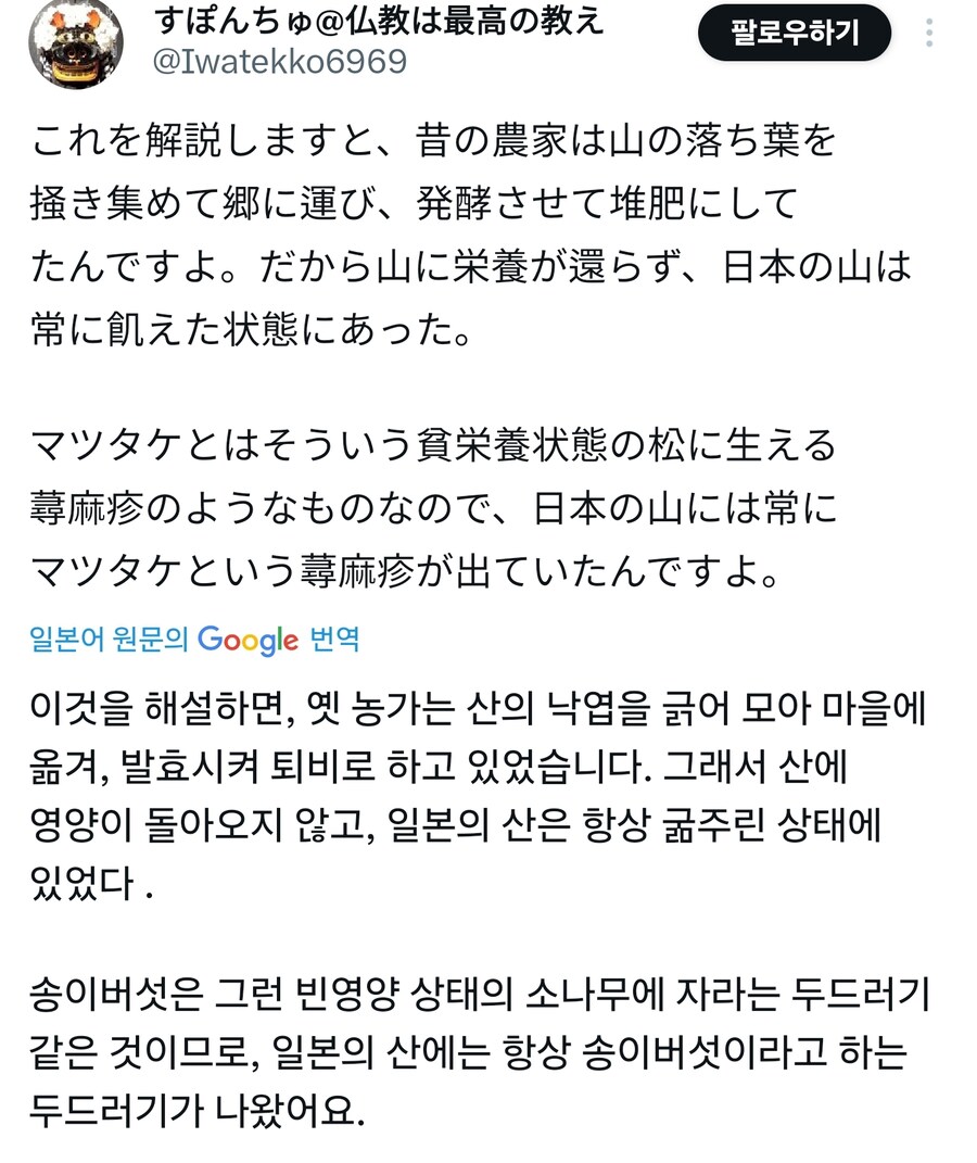 고오급재료의 대표인 송이버섯 특_2.jpg