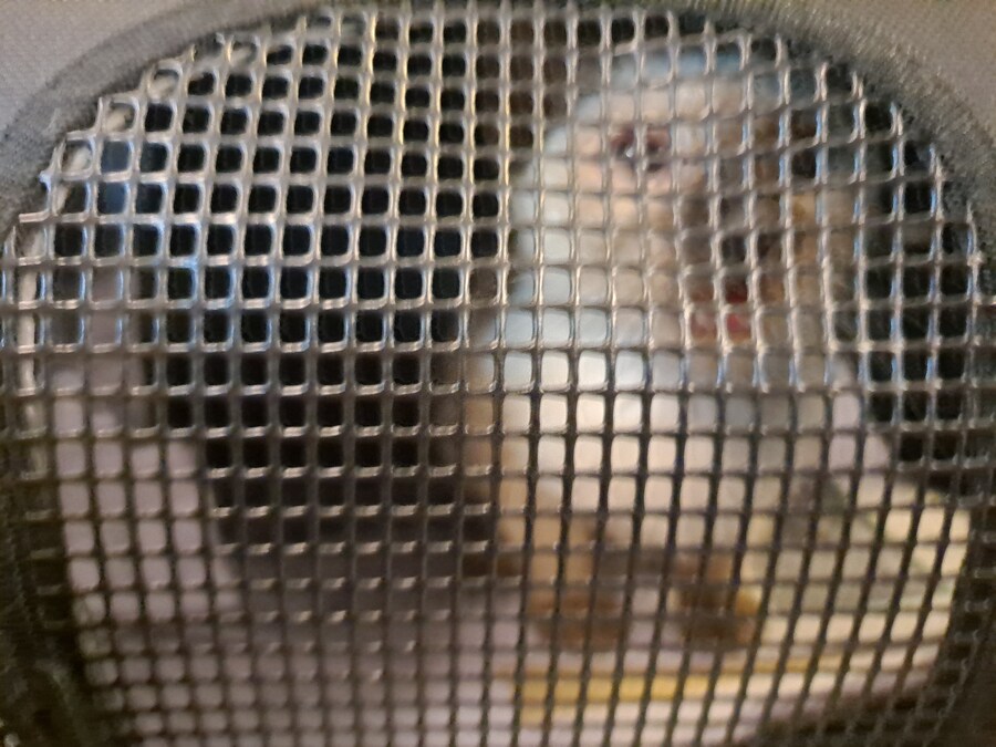 이번 설에도 부산 내려가는 기차 잘타는 고양이 모카~~~_2.jpg